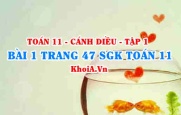 Bài 1 trang 47 SGK Toán 11 tập 1 Cánh Diều
